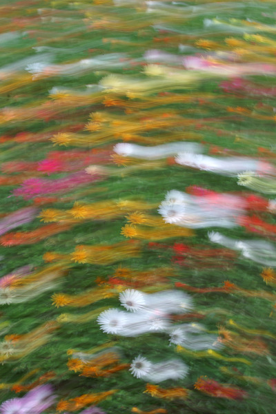 매일 읽는 한줄공감 (@slove1213) on Twitter photo 