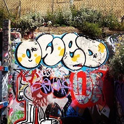 instagraf tweet media