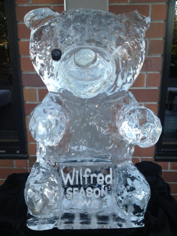FionaGubelmann's tweet photo. Bear made an appearance at the #WilfredFX season 2 Wrap party last night. http://t.co/sdYl9XOK