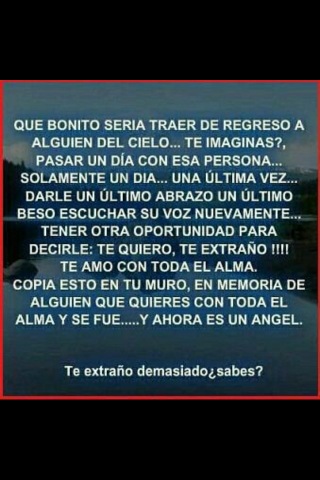 alberto tweet media