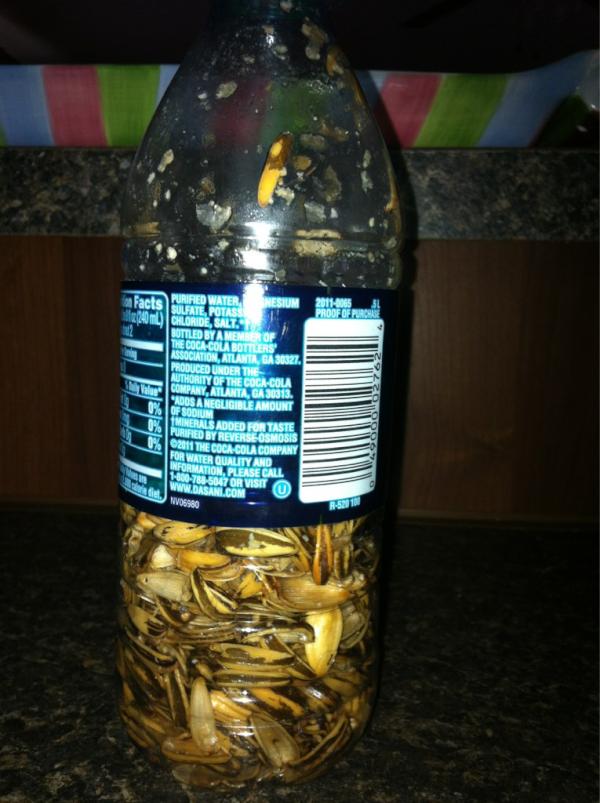 GametimeSeeds's tweet photo. RT if you've ever wanted to fill a bottle up with sunflower seeds @mysoftballprobz @Baseballswag_ @BaseballBros http://t.co/J10HNjLv