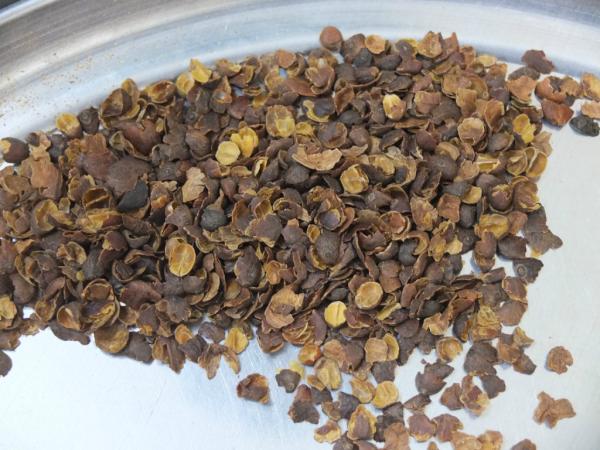 RedTreeTrading's tweet image. Our Yemen Qishr Tea!  Notes of sweet cranberries, orange blossom, and honey. #coffeecherrytea