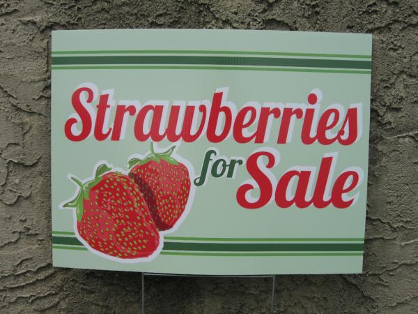 CompassSigns's tweet image. yard sign for a local farm!!