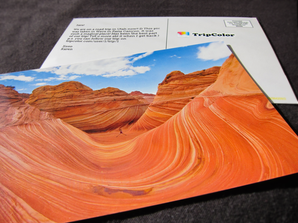 TripColor tweet media