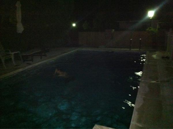 CristianATM's tweet photo. De piscineo nocturno @Victorvj7 #peglo http://t.co/7jWJKCs6