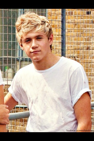 emilymiller01's tweet photo. Niall http://t.co/XS5Ut1lD