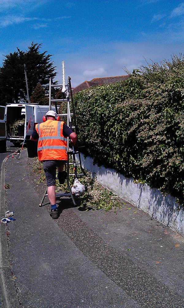 dawsongardening's tweet photo. Hedge cutting in Western Close Lancing http://t.co/oeD3zMfK