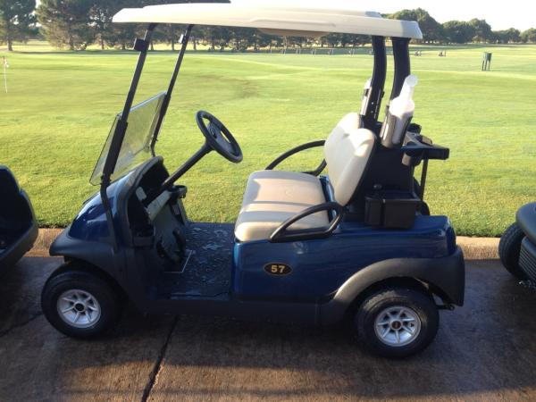 New carts arrived today