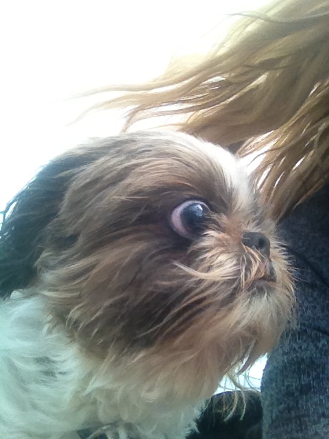 We are blowing over http://t.co/HHXzLKt9