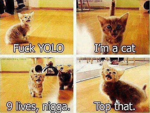 deniselovesbvb's tweet image. I can't STAND the word "yolo" nine lives nigga!!