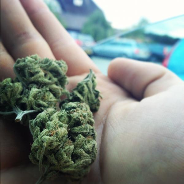 1JamesDavies's tweet photo. @SnoopDogg #puffpuffpasstuesdays http://t.co/zENvenAM