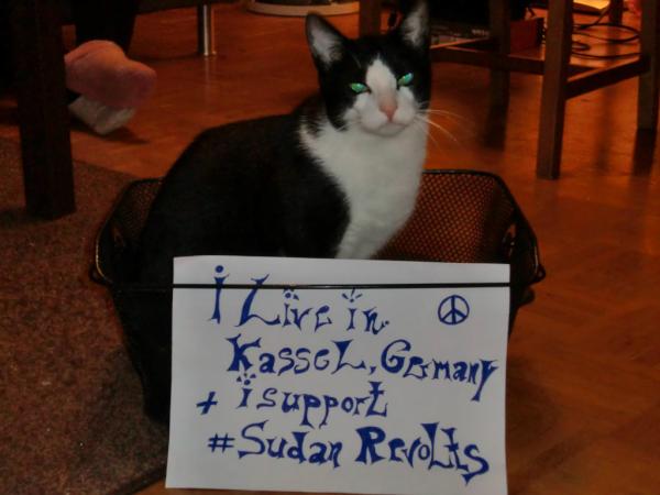 BSonblast's tweet image. Germany apparently loves its cats - and its cats apparently love #SudanRevolts! #ARA7 #FelineSupport