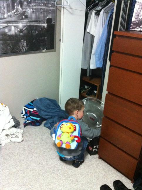 caitowen15's tweet image. Bennett getting into everything in @travis_crowe17 room while he's a work #monkeybag #myloves