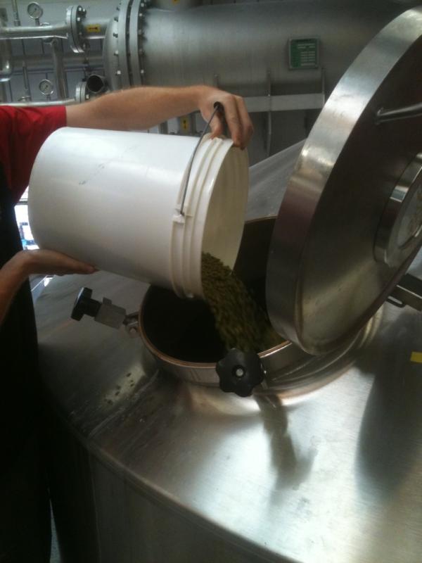 abbiam deciso di fare luppolatura fino dal primo mosto!!First wort hop!! @thornbridgematt American fuck yeah!