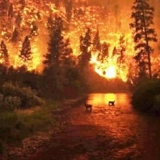 ColoradoSpring6's tweet photo. http://t.co/bb4h2Ar5