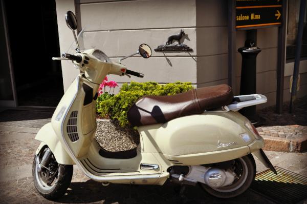 DanaLeah2's tweet image. I wanttttttt!! #differentcolor #stilltoocute