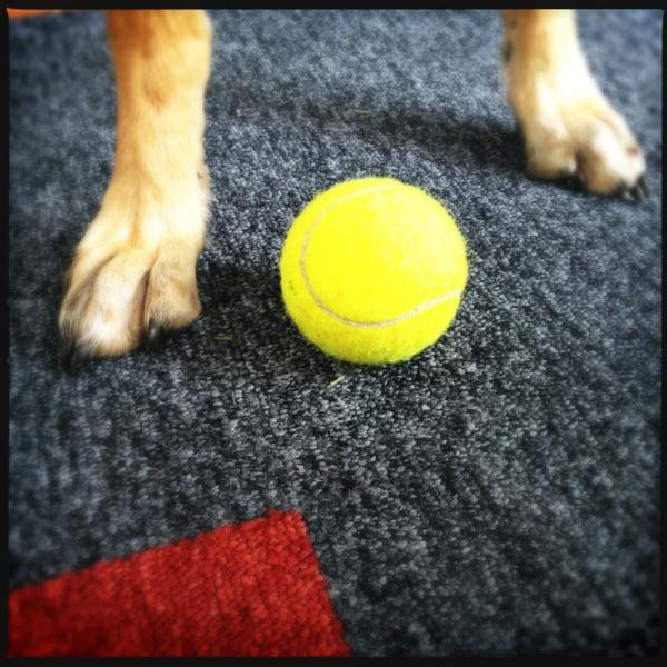 Growler_London's tweet photo. It's Wimbledon week http://t.co/IZGf7TgS