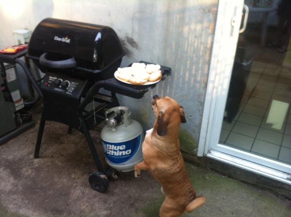 Guthriepuggle's tweet photo. Caught in the act http://t.co/ZvlkbPZN