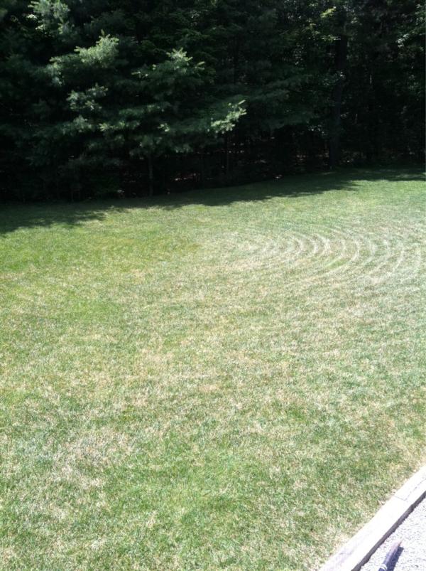 NChiocco's tweet image. Crop circle cut for grad party #check #pushmower #lawncutterextraordinaire