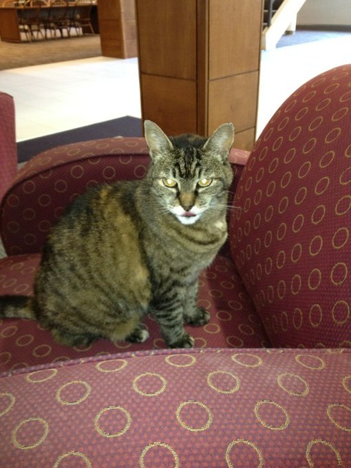 Watch theRadBrad's leaked NSFW photo on TwXstars