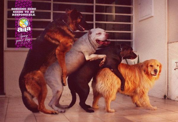 aila_oficial's tweet photo. Alguém aqui precisa ser responsável
Anúncio criado pela agência Fischer&amp;Friends e ganhou destaque na Revista Archive. http://t.co/y87FfS1z