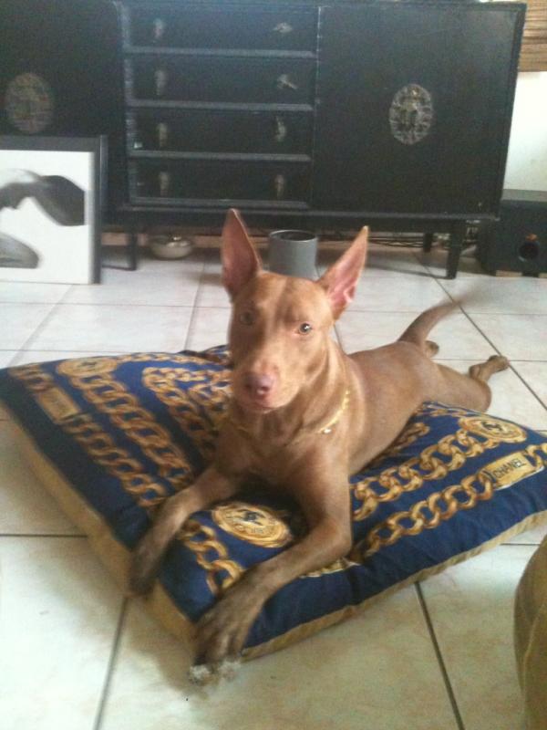 tanama (@tandkanda) on Twitter photo 