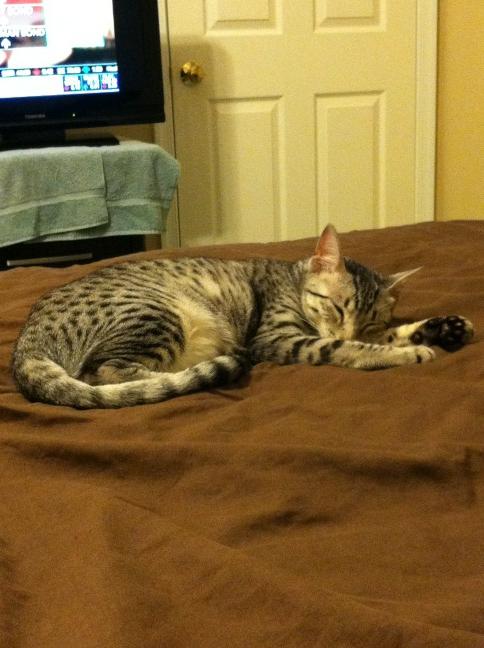 PGbrokerofyear's tweet photo. I'm tired out big time! @Jessewelle @PhillyChic5 http://t.co/nS3MrKPJ