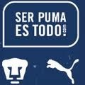 P3ZC1N4's tweet photo. BUENAS NOCHES A TODOS MIS AMIGOS Y AMIGAS. Y ATODA MI BANDA PUMA X SIEMPRE http://t.co/RrjG1ukS