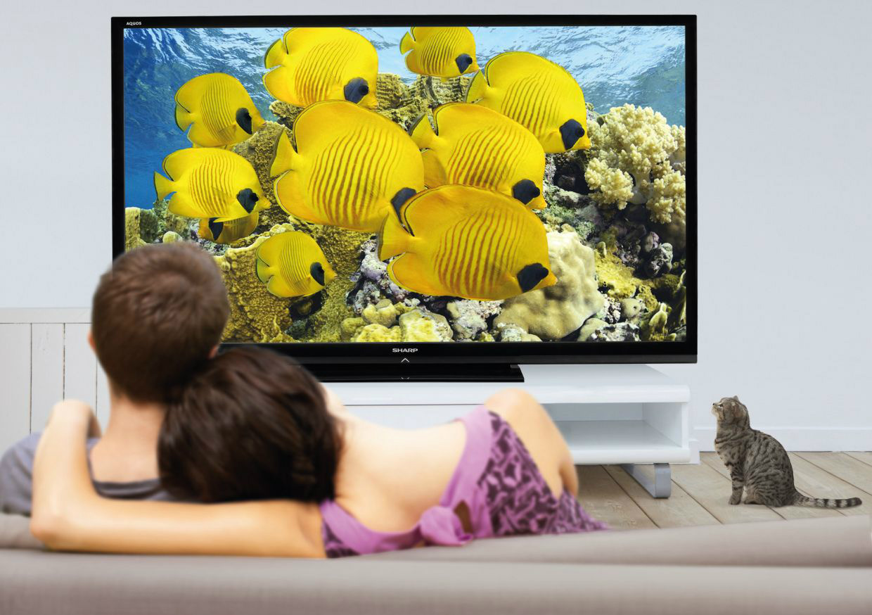 Телевизор Sharp LC-80le646 80