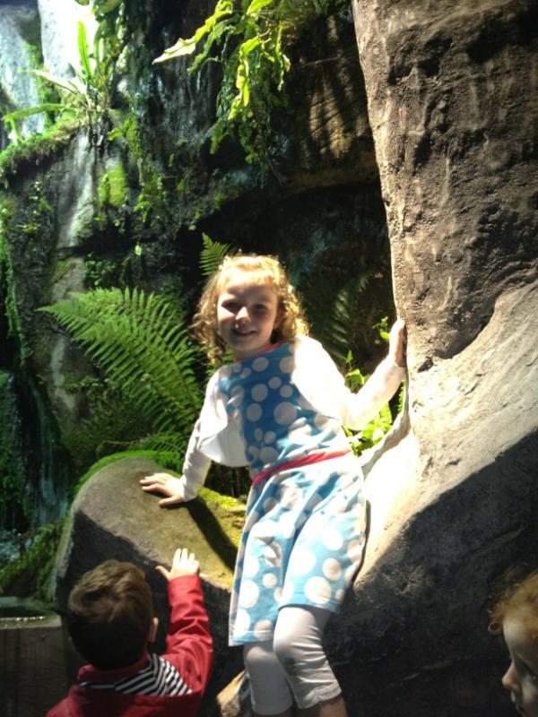 bmccar (@bmccar) on Twitter photo 