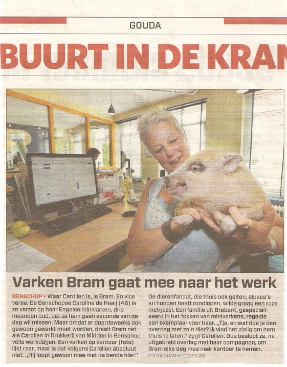De redactie <a href="/stvlekstreek/">stvlekstreek</a> heeft een nieuwe <a href="/drukkerijmidden/">Drukkerij van Midden</a> en gelijk een nieuwe mascotte! Nieuwe #hogerop is onderweg!