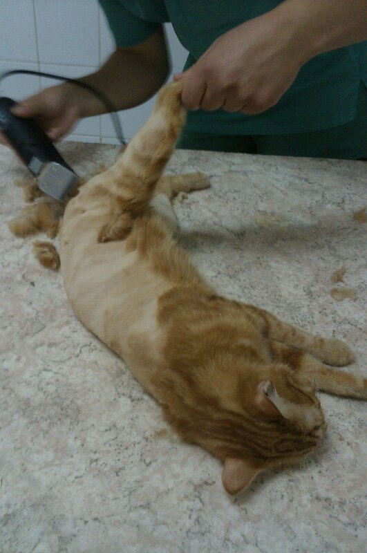 REDbraza's tweet image. Мой Бро во время первой стрижки! ))) так сказать ЦНОТУ потерял!