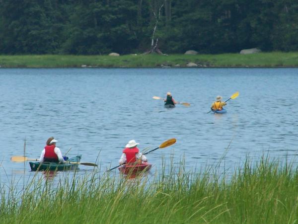 GreatBayNERR's tweet photo. Get out on #GreatBay! Kayak trips posted on our website, http://t.co/Rt9kT8nx @GBPWaterkeeper @PREPCommunity #summerfun http://t.co/gEE9mEoe