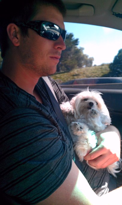 Cutest picture ever. @nikodawes your the best daddy ever!!!!! I loveee you <3 http://t.co/o2N5WYGV<a class="tags" target="_blank" title="On Twitter" href="/?out=eyJ0eXAiOiJKV1QiLCJhbGciOiJIUzUxMiJ9.eyJpYXQiOjE3MjMyNzEwMDgsImlzcyI6InR3cG9ybnN0YXJzLmNvbSIsIm5iZiI6MTcyMzI3MTAwOCwiZXhwIjoxNzU0ODA3MDA4LCJyZWRpcmVjdF91cmwiOiJodHRwczovL3R3aXR0ZXIuY29tL25pa29kYXdlcyJ9.XPDjjw24-Av2v1xH2LzIdFX-P0LXHyzvY8_UI0S-JnaO6xkV1YJ3j7x4iHzKSEgJGgPThpgMmcdXCGAFPYP0lQ">@nikodawes</a><a href="/tag/teacupmaltese"class="tags"><span>#teacupmaltese</span></a><a href="/tag/umbrellacockatoo"class="tags"><span>#umbrellacockatoo</span></a>