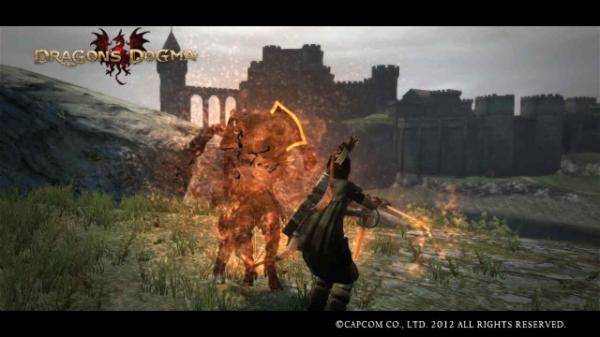 tinymecha's tweet image. My main pawn from Dragon's Dogma.=&amp;gt;Snow/Lv.24/Male/Fighter game.capcom.co.jp/DD/en/pawn_det…