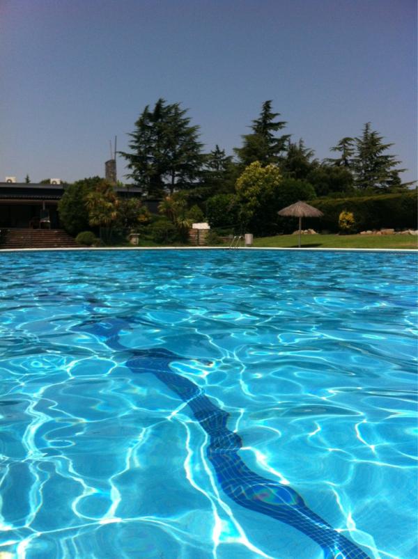 marrabassa's tweet photo. Despres del paseix matinal, avui amb dos nenes i cinc gossets.. regar l'hortet i esmortzar.. ara un bon banyet!!! http://t.co/MsR4efui