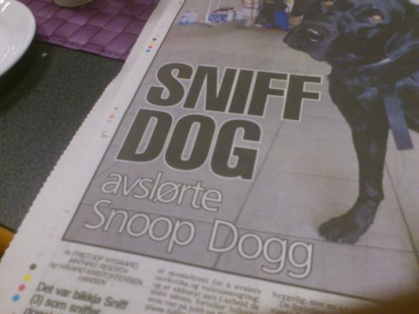 AndreasHyldbakk's tweet photo. VGs fantastiske ordspill! #slårtiligjen #genierklært http://t.co/BRvYiEdv