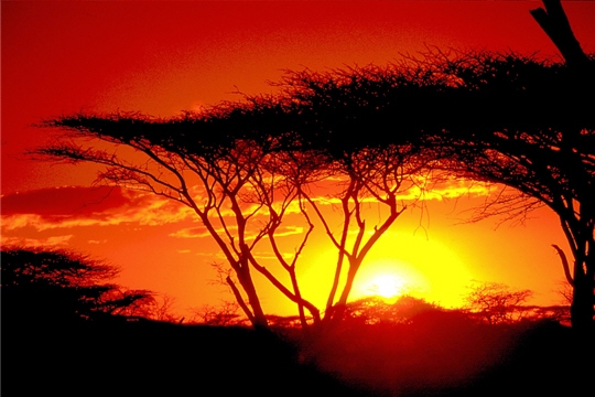 JustinL2000's tweet photo. @CheckDoncCa Coucher de soleil au Kenya. http://t.co/HI5Ok96P