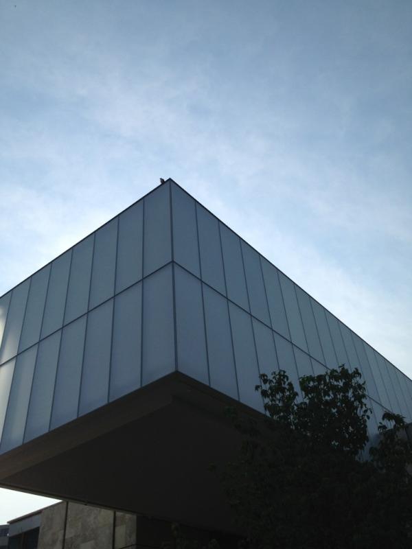 StartupsIP's tweet image. Eagle resting on roof of new @the_barnes building. Right in time for Independence day.