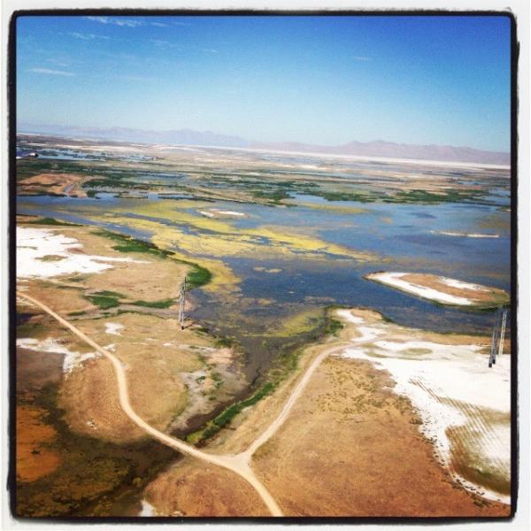MusicIsColorful's tweet image. Salt Lake City from the airplane!