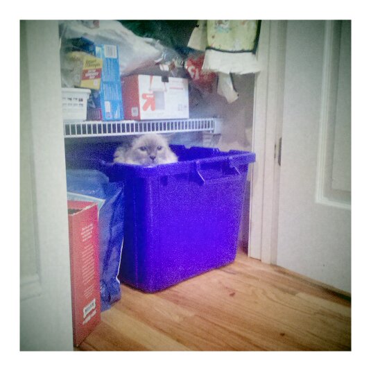 hello_dot's tweet image. Lewis gets recycled.