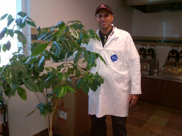 SonjaOps's tweet photo. @TH_University Sam with one of our coffee trees--Ancaster Coffee Plant http://t.co/VDB81QWC