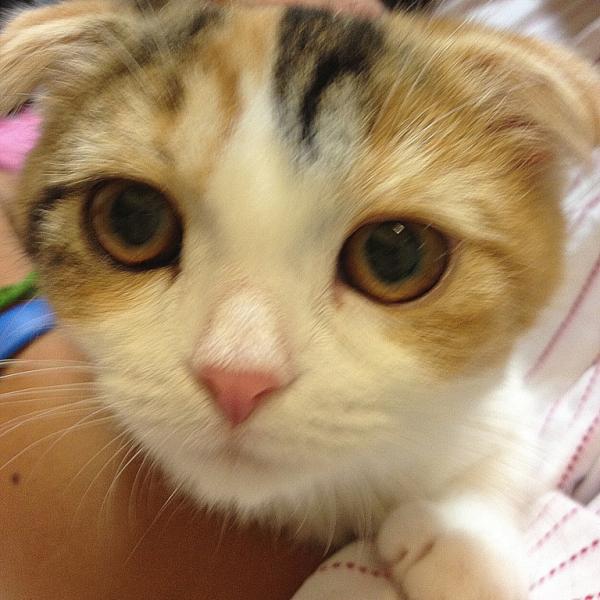 Noriyuki Kurabayashi tweet media