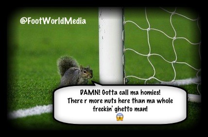 FootWorldMedia's tweet photo. "Damn! All those nuts man!"

#share #football #soccer #FootWorldMedia http://t.co/SAblbGFJ