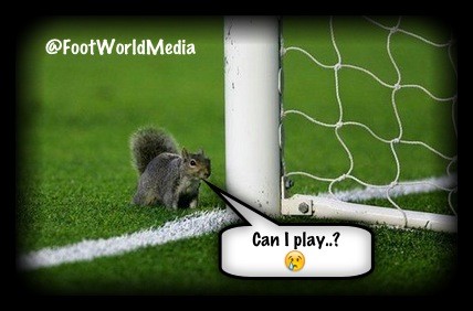 FootWorldMedia's tweet photo. "Can I play?"

#share #soccer #football #FootWorldMedia http://t.co/ywc5Q0U8