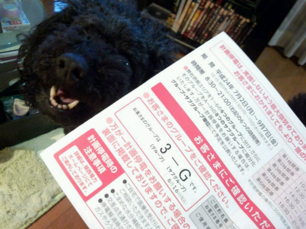 adogcojp's tweet photo. 計画停電？？アイシャ！笑ってる場合ちゃうで！ http://t.co/LX8XeygA