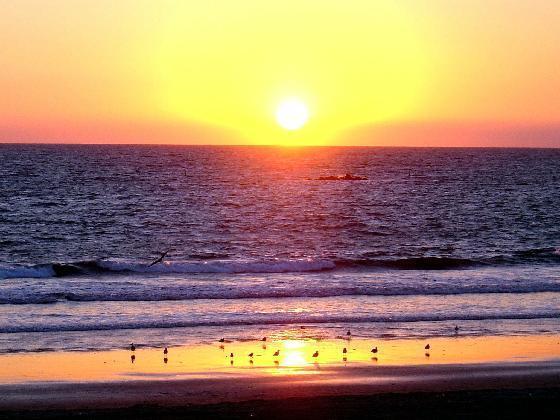 swirlitfroyo's tweet image. The first 10 people to whisper "beach oasis" at checkout receives a free 6 oz. cup of frozen yogurt. #Chandler #Gilbert