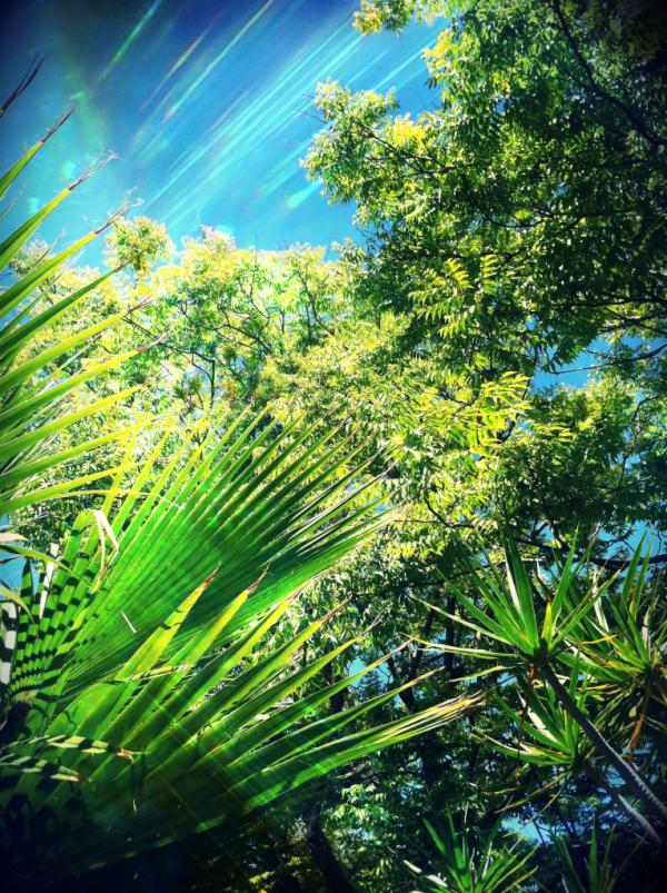 M2Partners's tweet photo. Beautiful day at our office in California! http://t.co/Xw0ebuQq