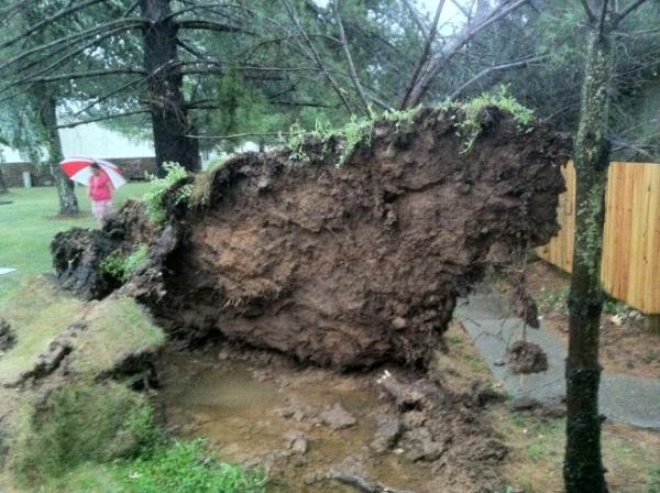tadbit's tweet photo. No real roots. Pulled up about 15 by 20ft section of dirt.  Again everyone is safe http://t.co/hw2AUekW