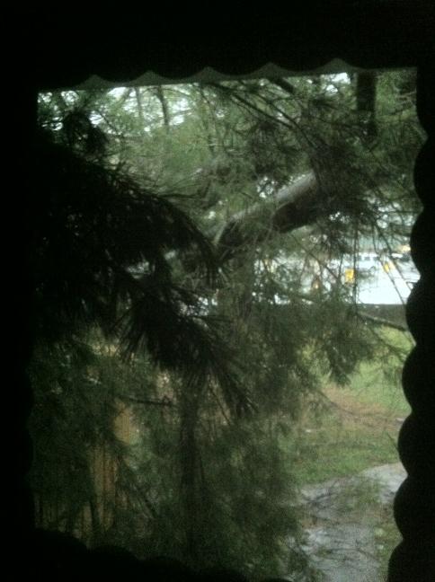 tadbit's tweet photo. Tree down across our door on the apt.   Everybody safe! http://t.co/6GlLGRai